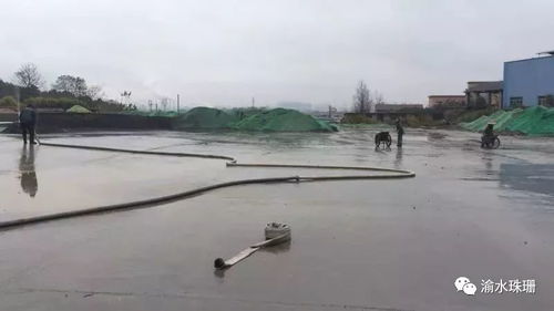 拆鍋爐、抑揚塵、禁焚燒 珠珊鎮大氣污染防治成效顯著，合同能源管理助力綠色發展