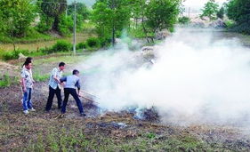 禁止焚燒秸稈，推動大氣污染治理，守護生活環境